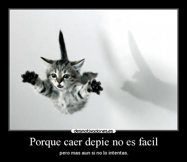 Porque caer depie no es facil - pero mas aun si no lo intentas.