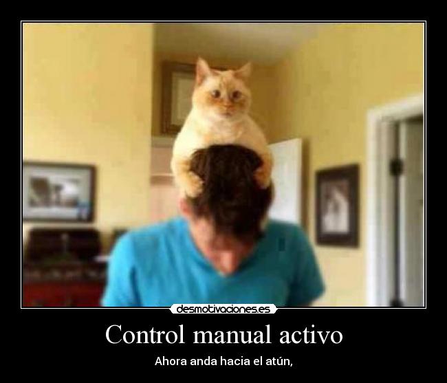 Control manual activo - Ahora anda hacia el atún,