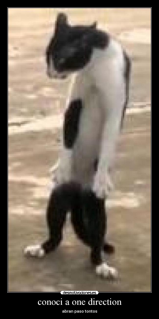 carteles pau777232323 desmotivaciones