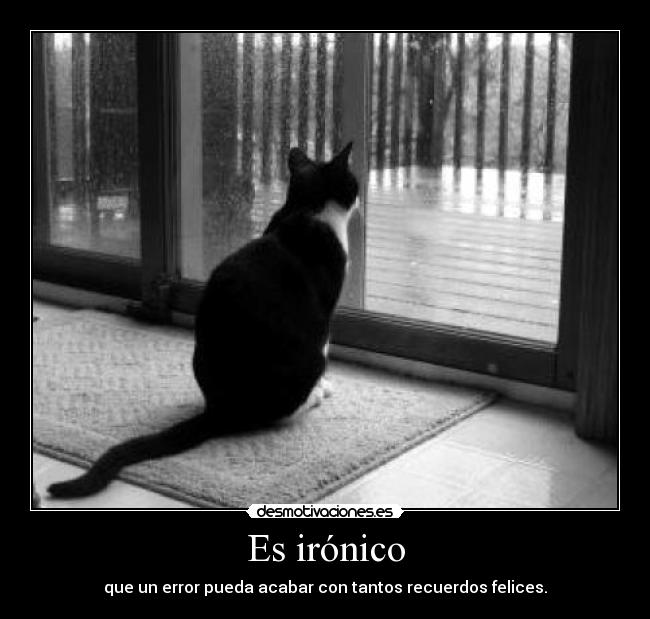 Es irónico -