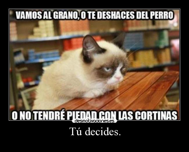 Tú decides. -