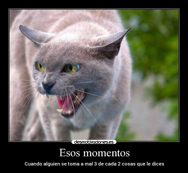 Esos momentos - Cuando alguien se toma a mal 3 de cada 2 cosas que le dices