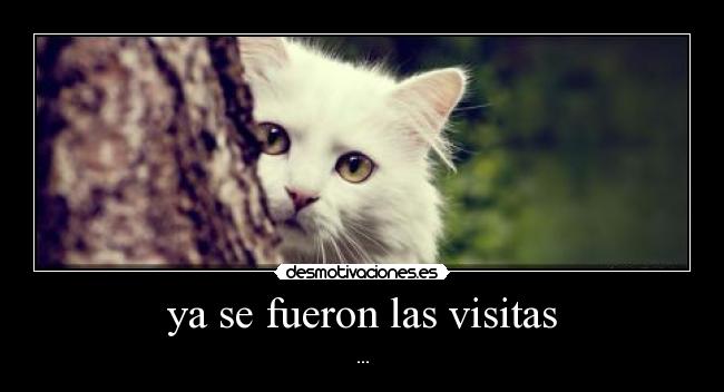 ya se fueron las visitas - ...