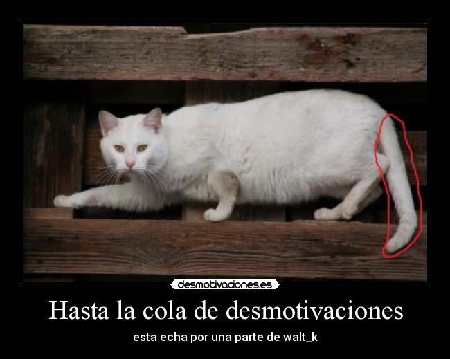 Hasta la cola de desmotivaciones - esta echa por una parte de walt_k