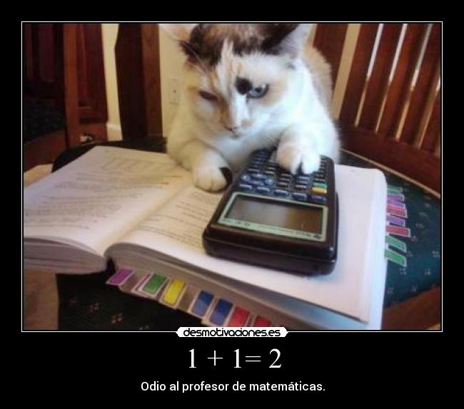 1 + 1= 2 - Odio al profesor de matemáticas.