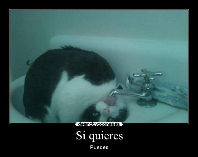 Si quieres - Puedes