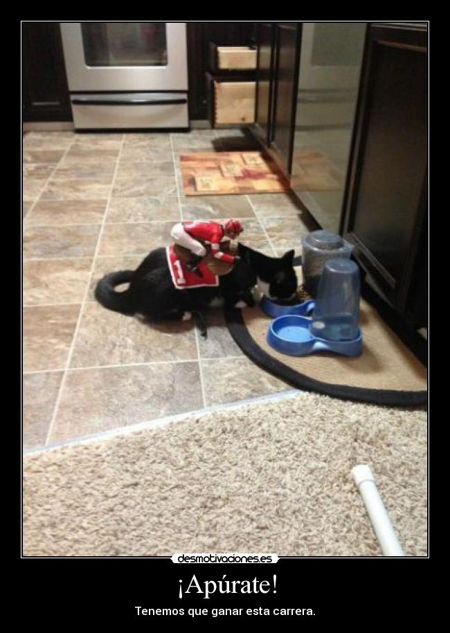 ¡Apúrate! - Tenemos que ganar esta carrera.
