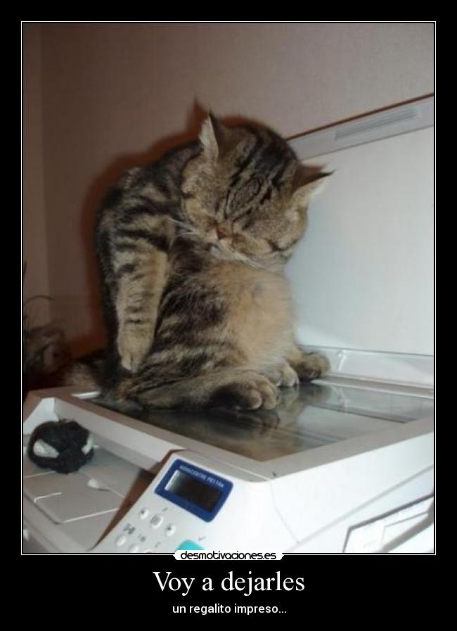 Voy a dejarles - un regalito impreso...