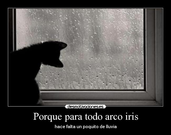 Porque para todo arco iris - hace falta un poquito de lluvia