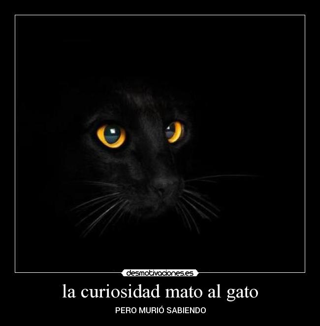 la curiosidad mato al gato -