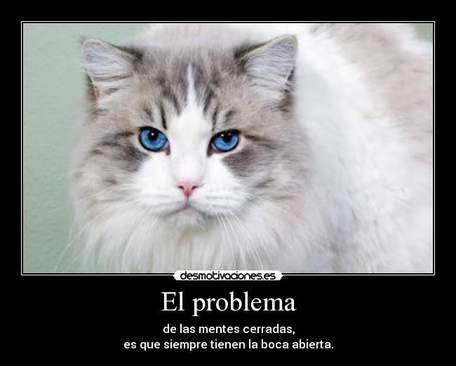 El problema - 