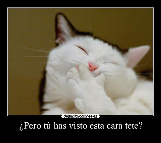 ¿Pero tú has visto esta cara tete? - 