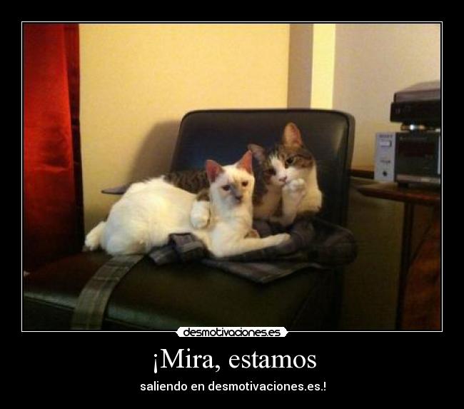 ¡Mira, estamos - saliendo en desmotivaciones.es.!