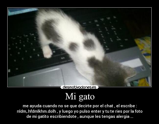 Mi gato -