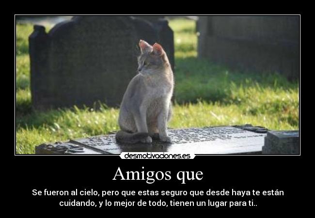 Amigos que - Se fueron al cielo, pero que estas seguro que desde haya te están
cuidando, y lo mejor de todo, tienen un lugar para ti..