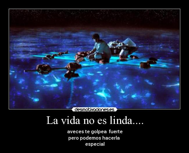 carteles vida vida desmotivaciones