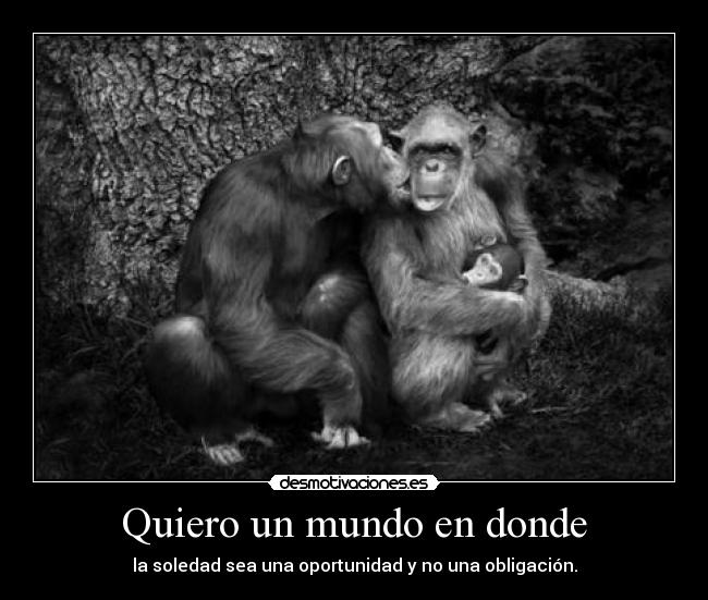 carteles mundo sdfsdfsdf desmotivaciones