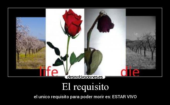 carteles todos desmotivaciones