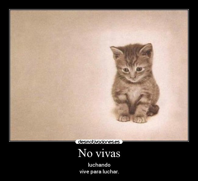 No vivas - 