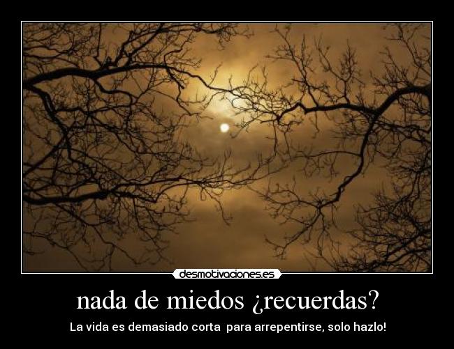 nada de miedos ¿recuerdas? - La vida es demasiado corta  para arrepentirse, solo hazlo!