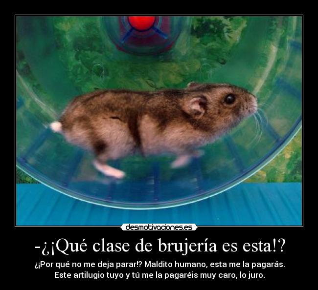 -¿¡Qué clase de brujería es esta!? -