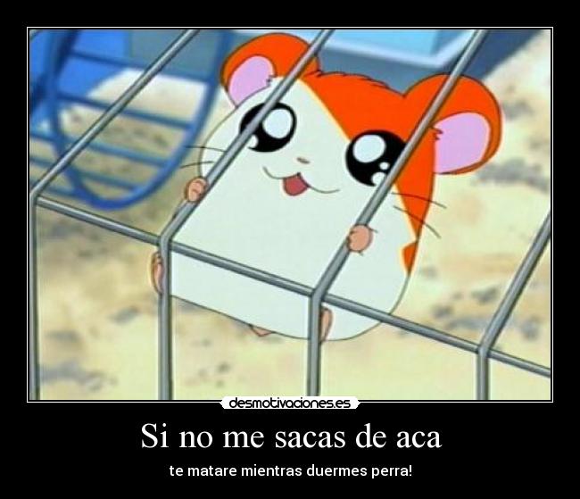 Si no me sacas de aca - te matare mientras duermes perra!