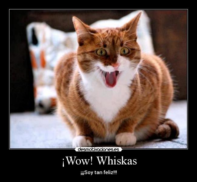 ¡Wow! Whiskas - ¡¡¡Soy tan feliz!!!
