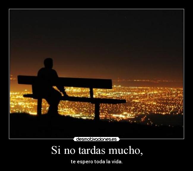 carteles esperar amor todalavida desmotivaciones