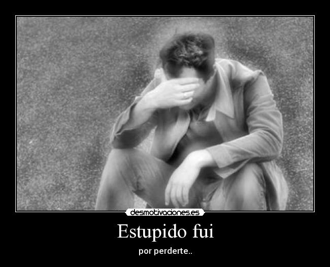 Estupido fui - por perderte..