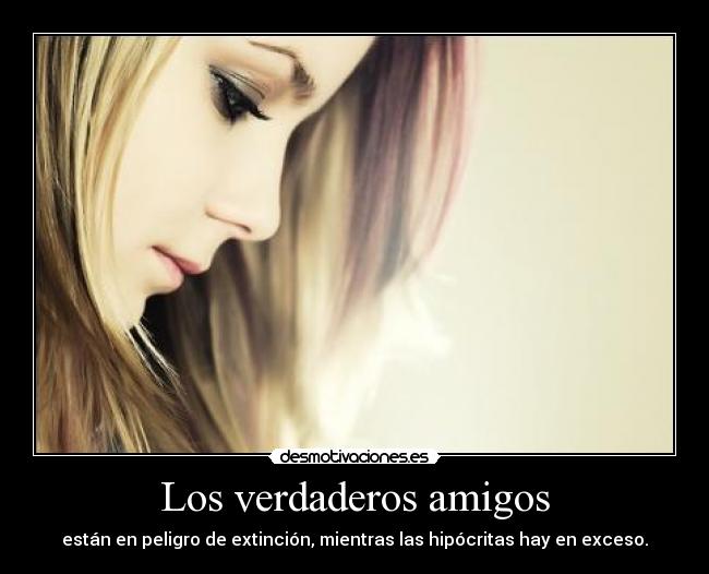 Los verdaderos amigos - 