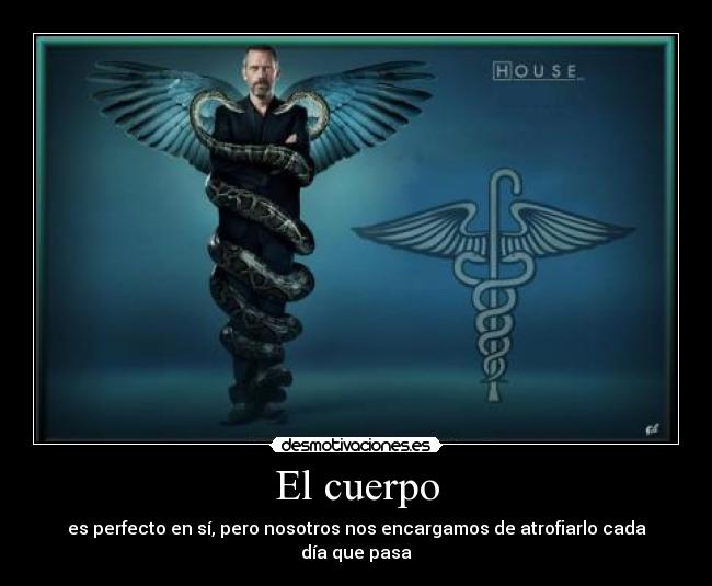 El cuerpo - es perfecto en sí, pero nosotros nos encargamos de atrofiarlo cada día que pasa