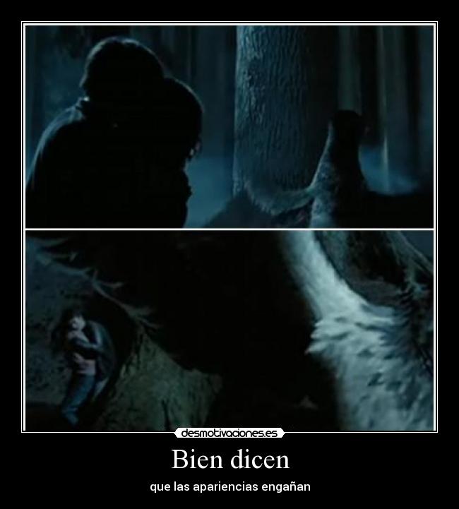 Bien dicen - que las apariencias engañan