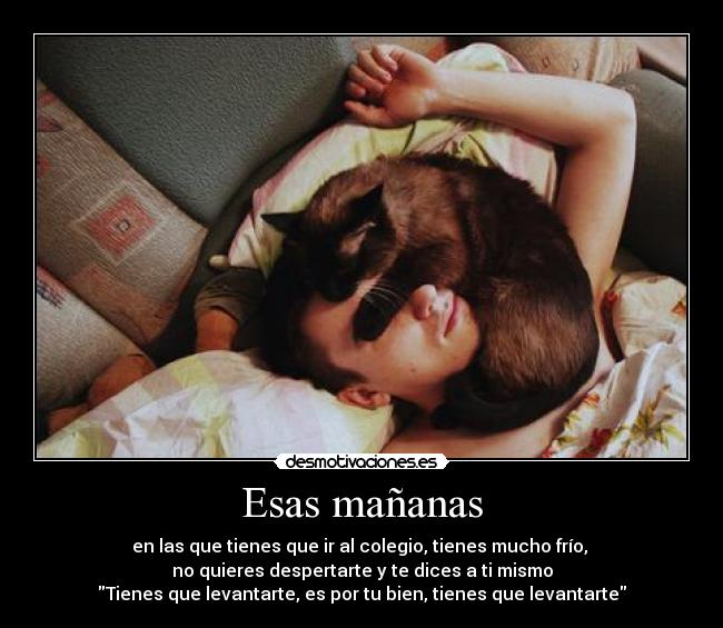 carteles ploplo soyunaranafeaesperandoelbesodemiprincipe desmotivaciones