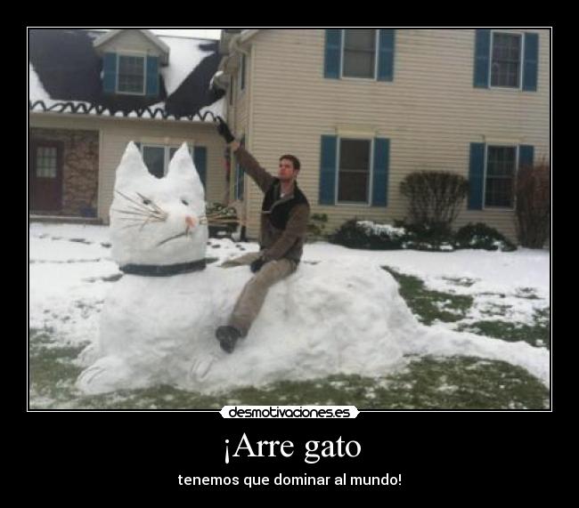 ¡Arre gato -