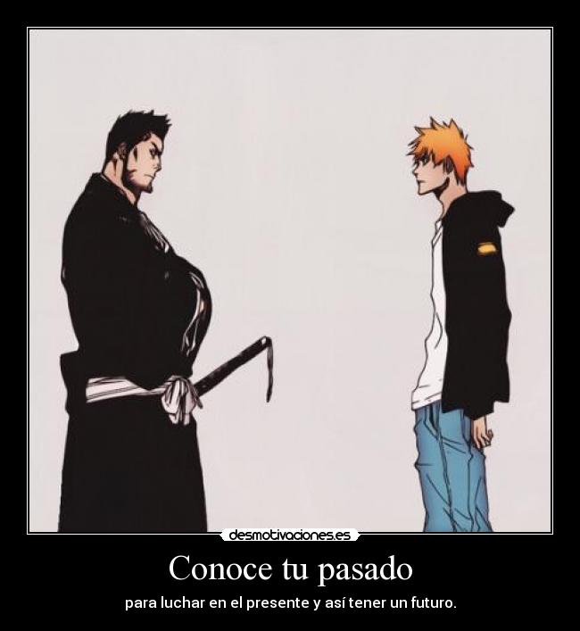 carteles pasado bleach isshin kurosaki ichigo harukaze manga anime shinigami quincy desmotivaciones