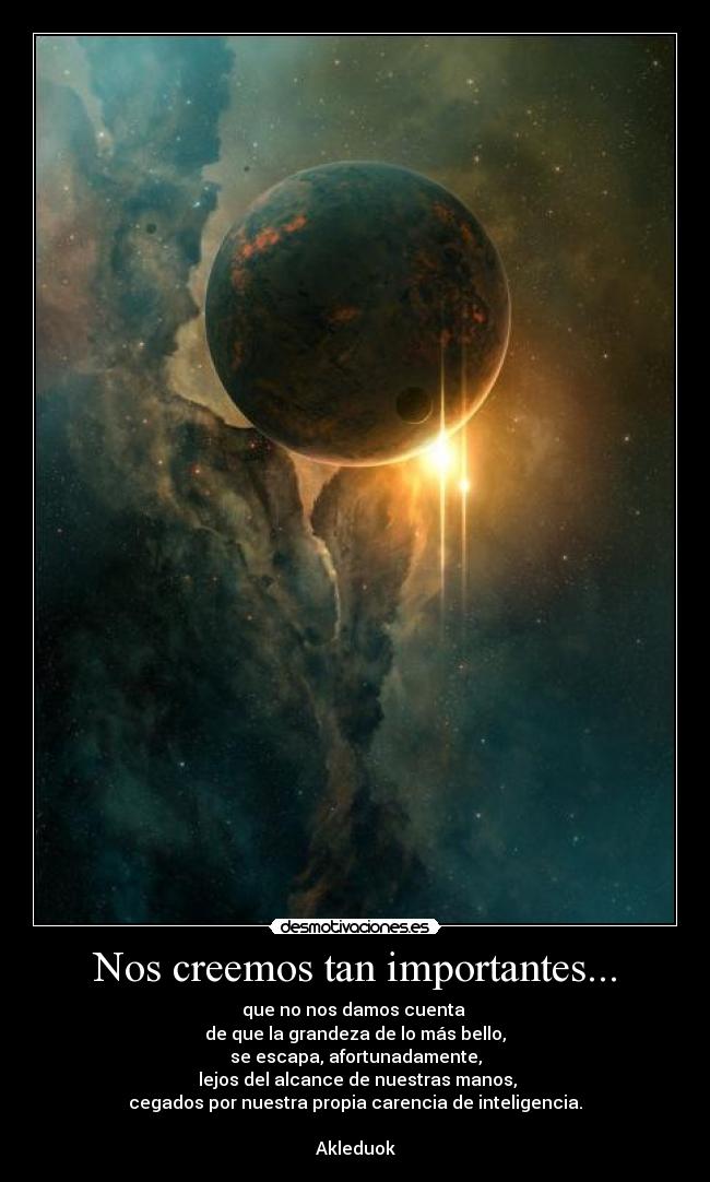 Nos creemos tan importantes... - 