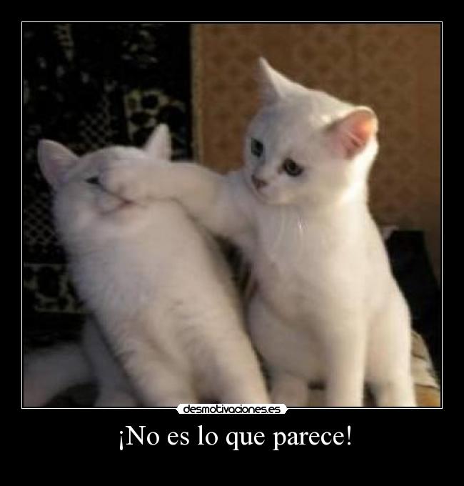 ¡No es lo que parece! -