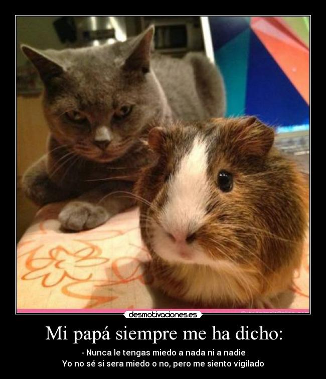 Mi papá siempre me ha dicho: - - Nunca le tengas miedo a nada ni a nadie
Yo no sé si sera miedo o no, pero me siento vigilado