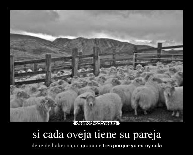 si cada oveja tiene su pareja - debe de haber algun grupo de tres porque yo estoy sola