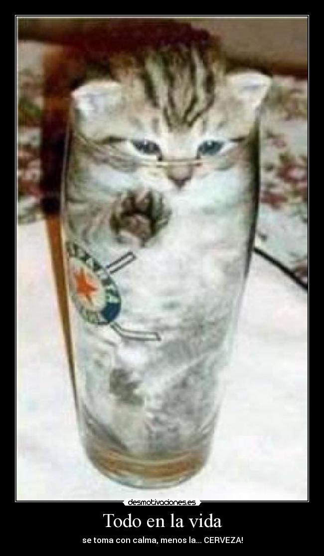 Todo en la vida - se toma con calma, menos la... CERVEZA!