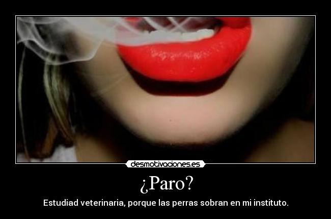 ¿Paro? - Estudiad veterinaria, porque las perras sobran en mi instituto.