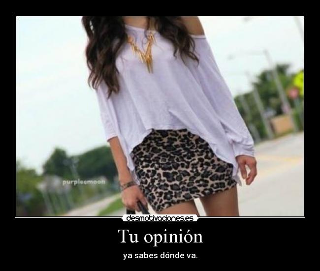Tu opinión - ya sabes dónde va.