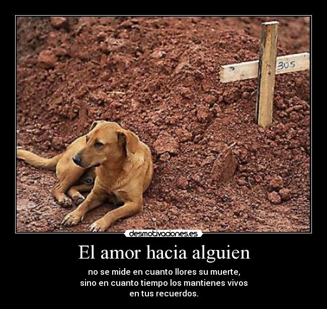 El amor hacia alguien - no se mide en cuanto llores su muerte,
sino en cuanto tiempo los mantienes vivos
en tus recuerdos.