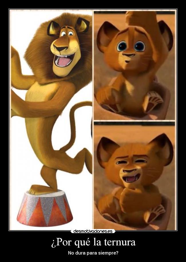 ¿Por qué la ternura - 