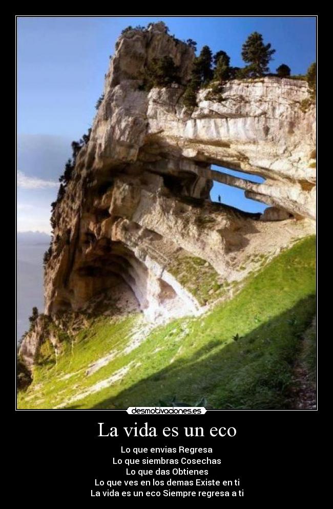 carteles vida verdad desmotivaciones