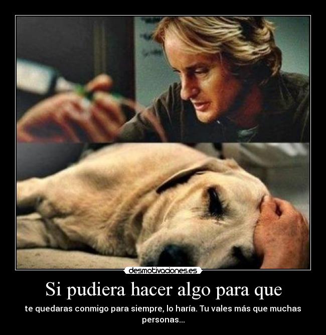 Si pudiera hacer algo para que - te quedaras conmigo para siempre, lo haría. Tu vales más que muchas personas...