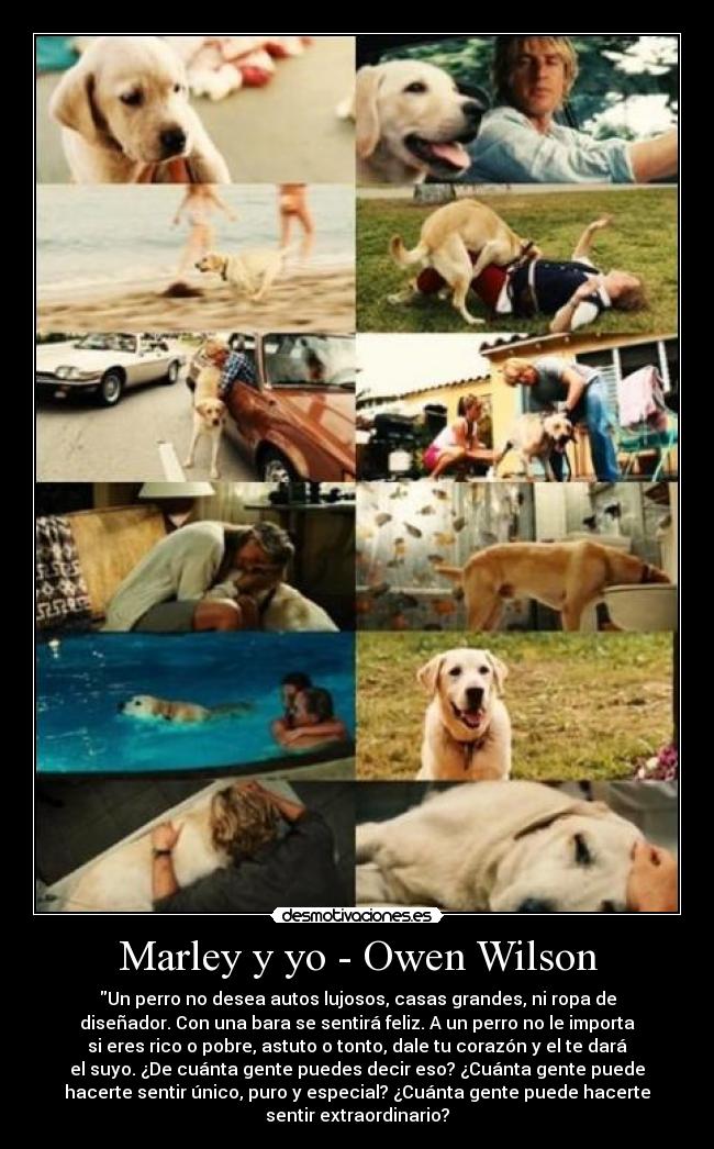Marley y yo - Owen Wilson - Un perro no desea autos lujosos, casas grandes, ni ropa de
diseñador. Con una bara se sentirá feliz. A un perro no le importa
si eres rico o pobre, astuto o tonto, dale tu corazón y el te dará
el suyo. ¿De cuánta gente puedes decir eso? ¿Cuánta gente puede
hacerte sentir único, puro y especial? ¿Cuánta gente puede hacerte
sentir extraordinario?