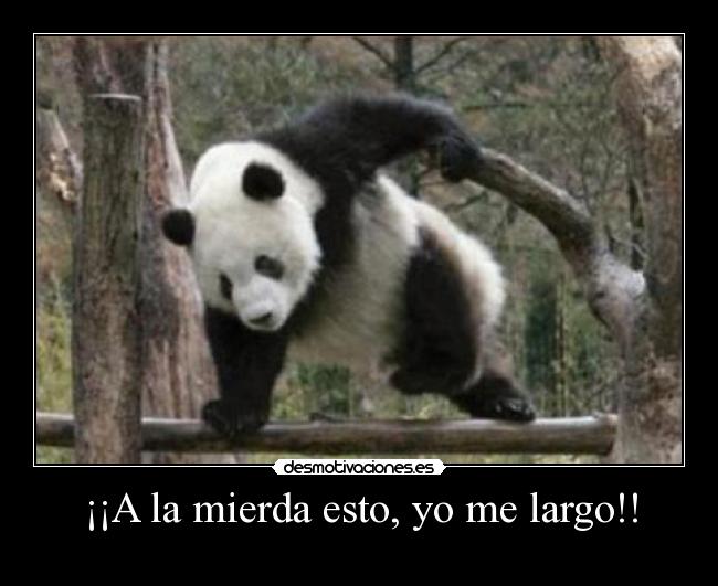 ¡¡A la mierda esto, yo me largo!! -