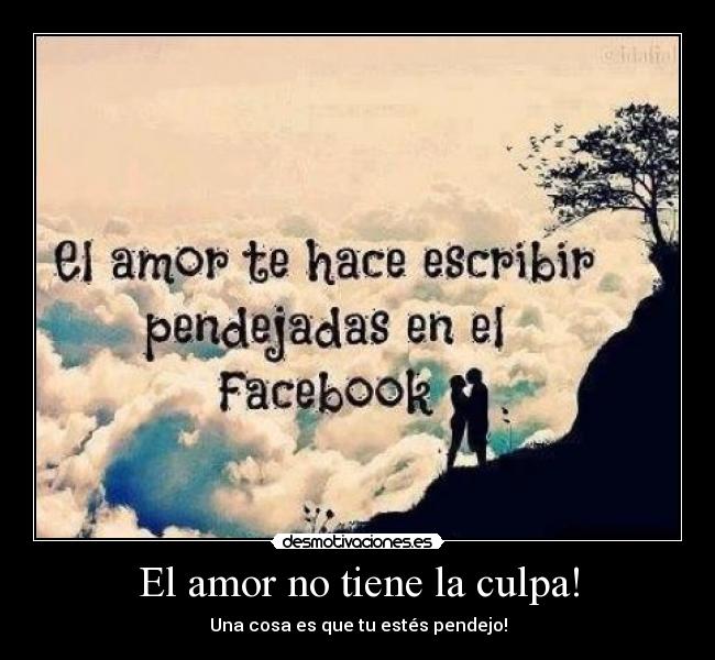 carteles amor pendejo eres desmotivaciones