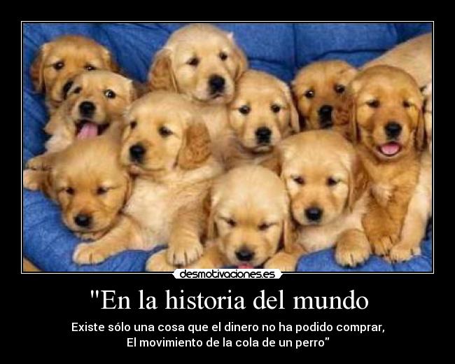 En la historia del mundo - Existe sólo una cosa que el dinero no ha podido comprar,
El movimiento de la cola de un perro